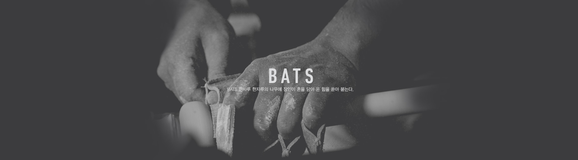 BATS